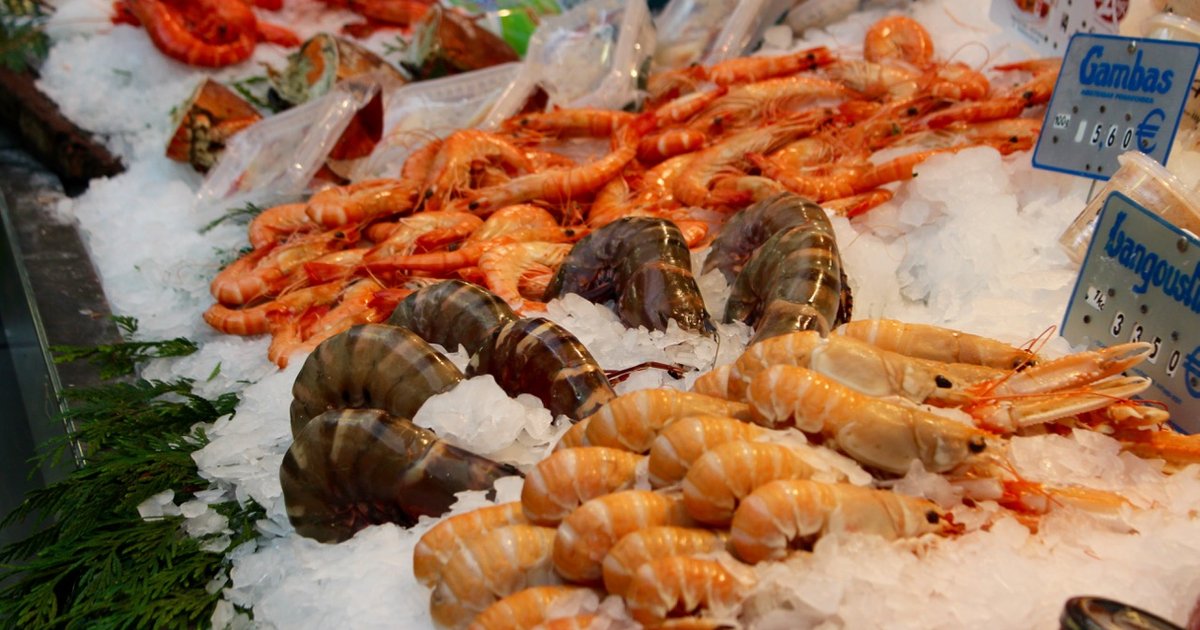 Canadian Shellfish Canada: Bolero Shellfish allegedly subjected workers, incl. a Mexican ...