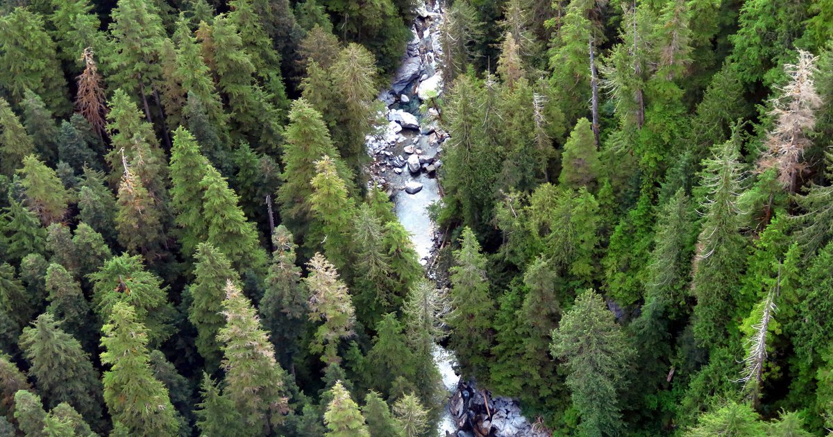 EU: Nestlé, Unilever and Mars join calls by food & drink manufactures against delay of EU deforestation law - Business & Human Rights Resource Centre