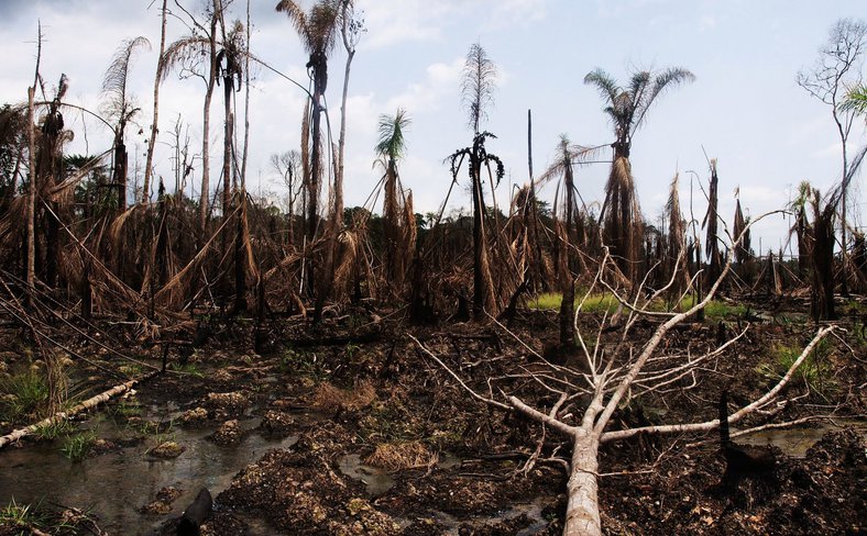 Oil pollution Nigeria