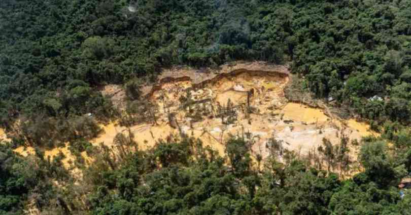 Colombia: Alertan que la minería ilegal de oro se toma zonas protegidas ...