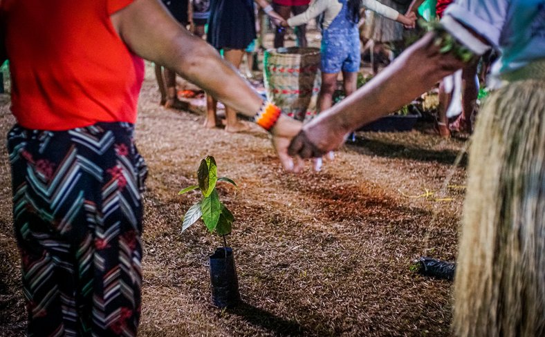 Indigenous women's march, Brazil 2021