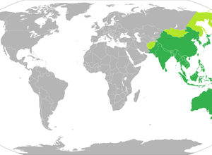 Asia-Pacific.png
