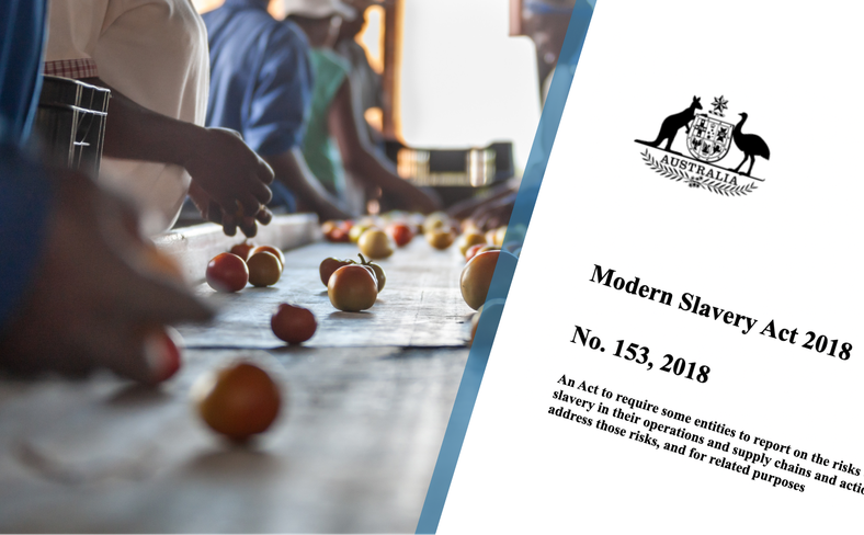 Australia Modern Slavery Act MSA