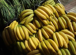 Banana Stand