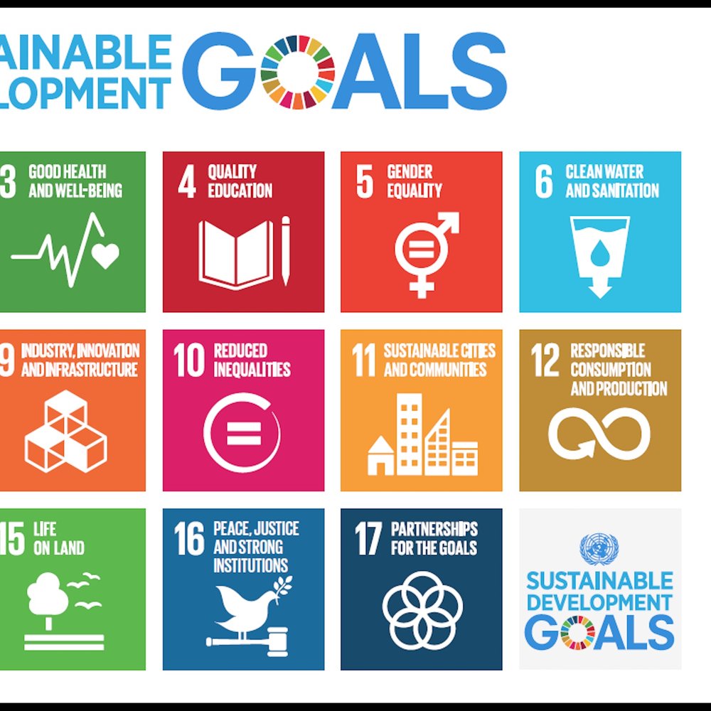 日本：UNDP、「企業・事業体向けSDGインパクト基準」日本語訳を発表 事業運営の方針決定におけるサステナビリティの組み入れを支援