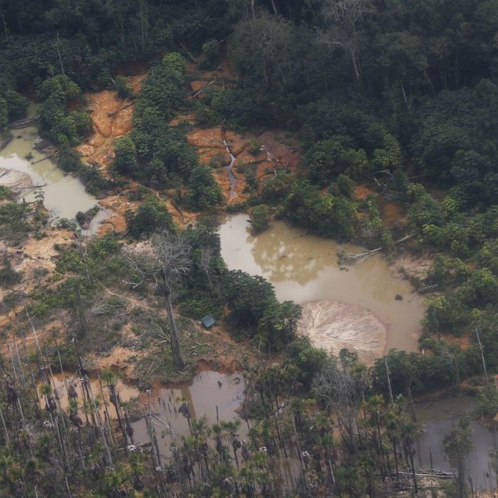 Latin America remains the deadliest region for environmental defenders