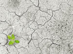 climate-change-1325882_1280