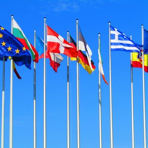 European Parliament flags.jpg