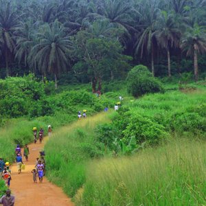 Sierra Leone road.jpg