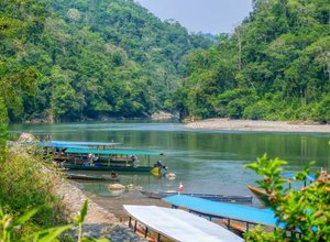 istockphoto-1469644877-612x612