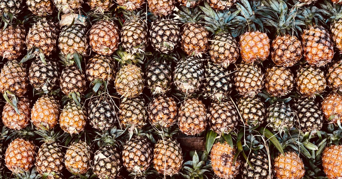 Ecuador: Pedidos de disculpas de Furukawa Plantaciones omitió el ...