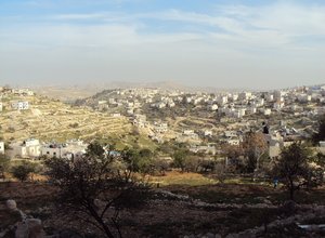 Palestine city view