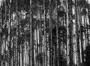 pexels-photo-10579289
