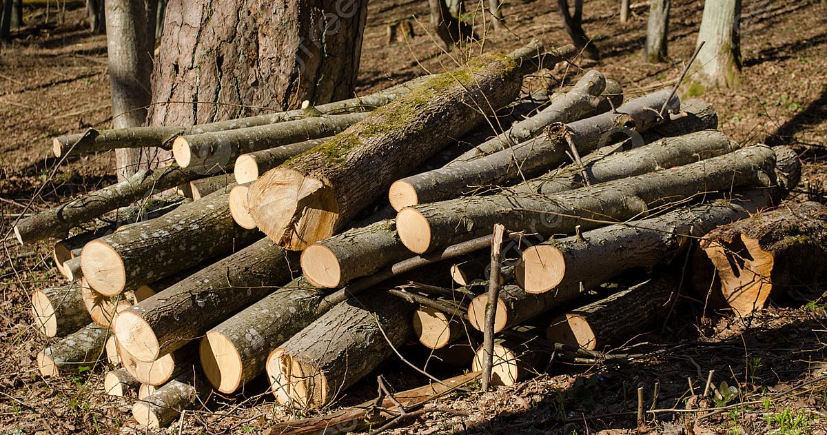 European Council agrees to a 12month delay of the antideforestation