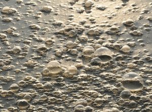 pollution-environment-water-wastewater-treatment