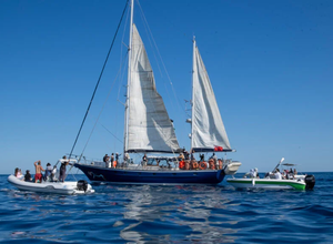 signal-2025-06-01-19-08-48-899-1024x576